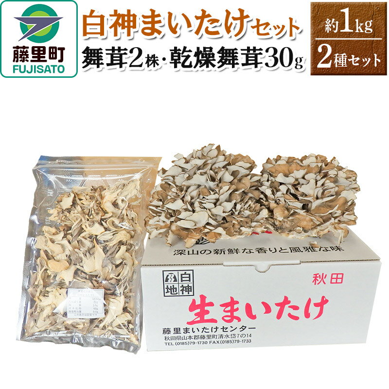 【ふるさと納税】白神まいたけセット（舞茸2株、乾燥舞茸30g）約1kg