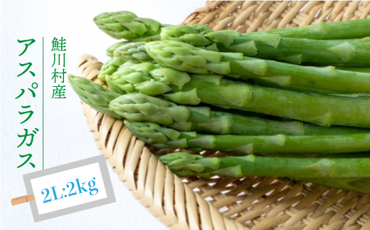 鮭川村産　アスパラガス　＜2Lサイズ：2kg＞