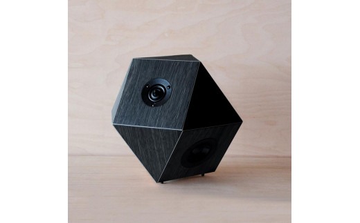 AE-01 14面体スピーカー'sight'ボグオーク仕上げ