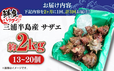 【全3回 隔月 定期便】サザエ 2kg 13~20個 三浦半島 さざえ サザエ さざえ サザエ 【長井水産株式会社】 [AKAJ014]