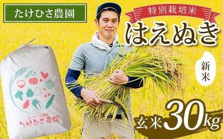 【令和8年産 新米 先行予約】 特別栽培米 はえぬき (玄米) 30kg 《令和8年9月下旬～発送》 『たけひさ農園』 山形南陽産 米 ご飯 農家直送 山形県 南陽市 [2375-R8]