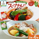 【ふるさと納税】 スープカレーの素 うちのスープカレー 2種セットB 計6袋 トマト味 昆布だし和風味 小分け スープカレー スパイス スープ カレー お取り寄せ 簡単 ギフト ピーアンドピー 送料無料 北海道 札幌市