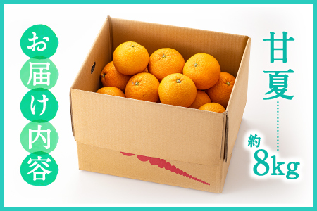 AA093.福岡柑橘王国・樹成り完熟甘夏／約8kg（2027年4月～5月配送予定）