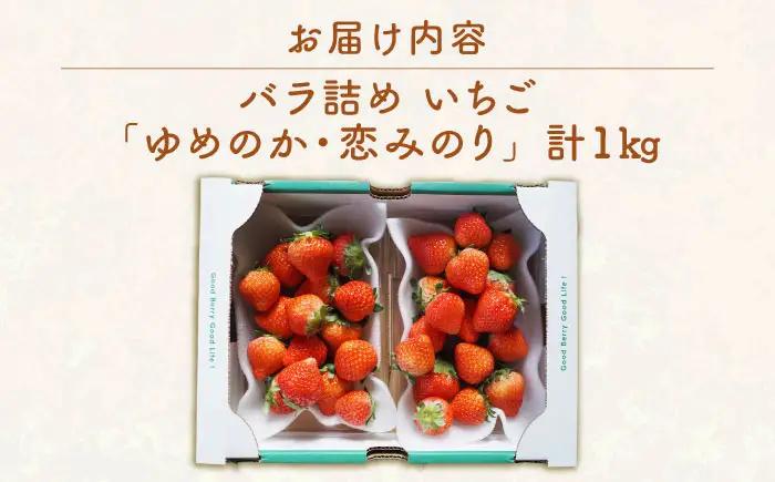 【先行予約】家庭用 いちご 1kg（ゆめのか/恋みのり） [JEO002] イチゴ 苺