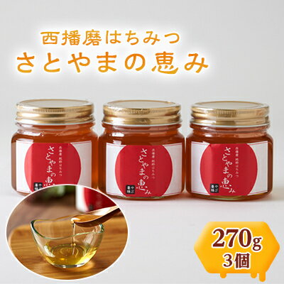【ふるさと納税】西播磨はちみつ　さとやまの恵み　270g×3本セット【1243961】