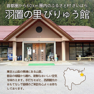 びりゅう館手作り　ジャム6本セット 無添加 ジャム 梅 ルバーブ ゆず セット フルーツ 手作り びりゅう館 手作りジャム6本セット プレゼント 贈り物 贈答 ギフト 夏ギフト 送料無料 山梨県 上野