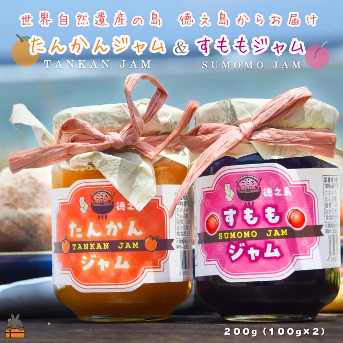 【ふるさと納税】徳之島産フルーツ使用！低糖度の徳之島完熟たんかんジャム＆すももジャム（100g×2） （ たんかん すもも 完熟 ジャム パン 果物 フルーツ 徳之島 奄美 鹿児島 キッチンこころ ）
