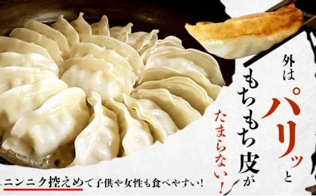湘南生餃子 144個 【 餃子 】