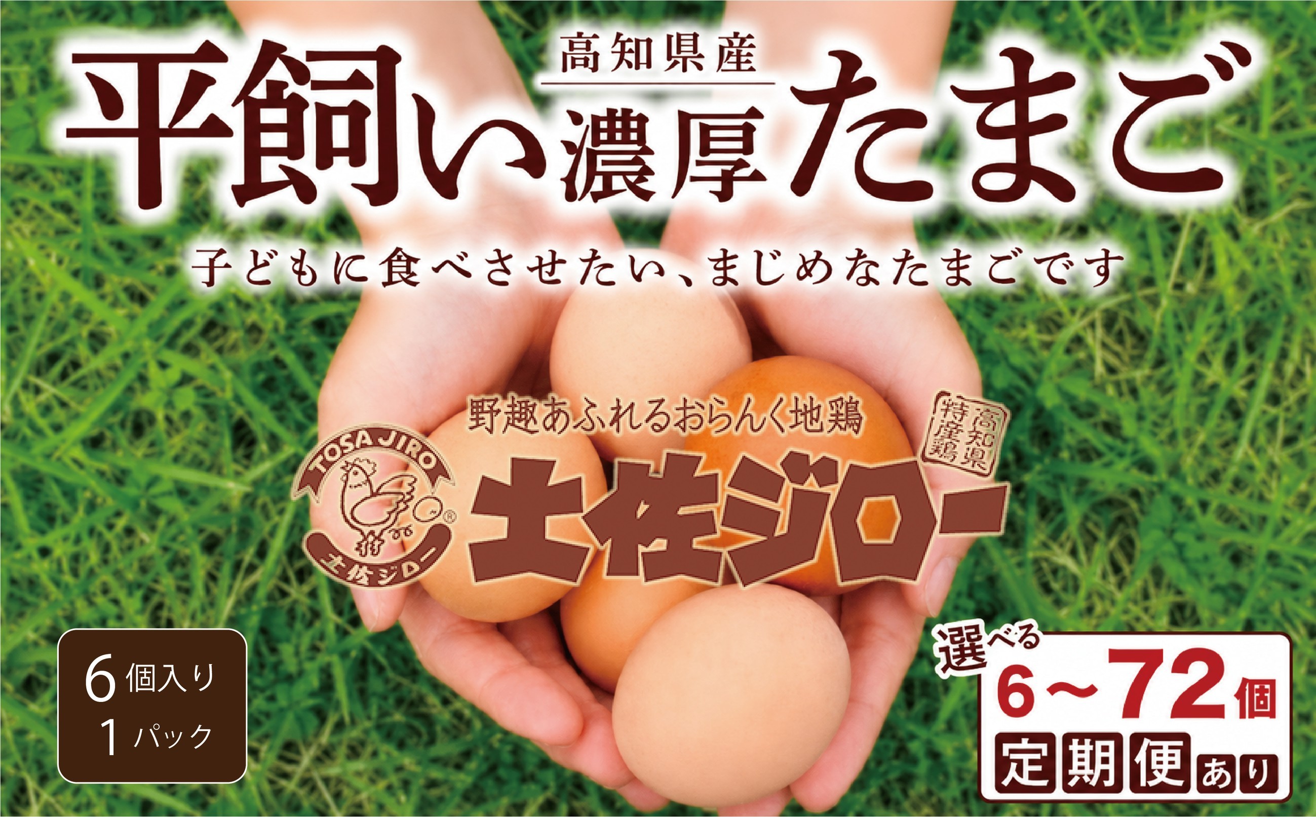 
                  定期便 卵 選べる たまご 土佐ジロー 最大 72個 12か月 平飼い 濃厚 Sサイズ  たまごセット 放し飼い 卵定期便  卵料理 卵焼き 玉子 タマゴ 卵かけご飯 新鮮 ゆで卵 オムレツ TKG 鶏 鶏卵 コク ごはんのとも 日用品 消耗品 生卵 贈答 ギフト 贈答品 冷蔵 朝食 朝 簡単調理  宿毛市 高知県
                