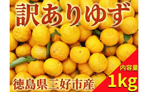 【 先行予約 2026年11月～ 】 【 訳あり 】 ゆず 1kg 国産 良品 規格外 健康 美容 柑橘 フルーツ 果物 薬味 ジャム 鍋 そうめん ゆず風呂 柚子胡椒 ゆず酒 ゆず茶 ゆず七味 ゆず蜜 果実酒 シロップ 徳島県 三好市