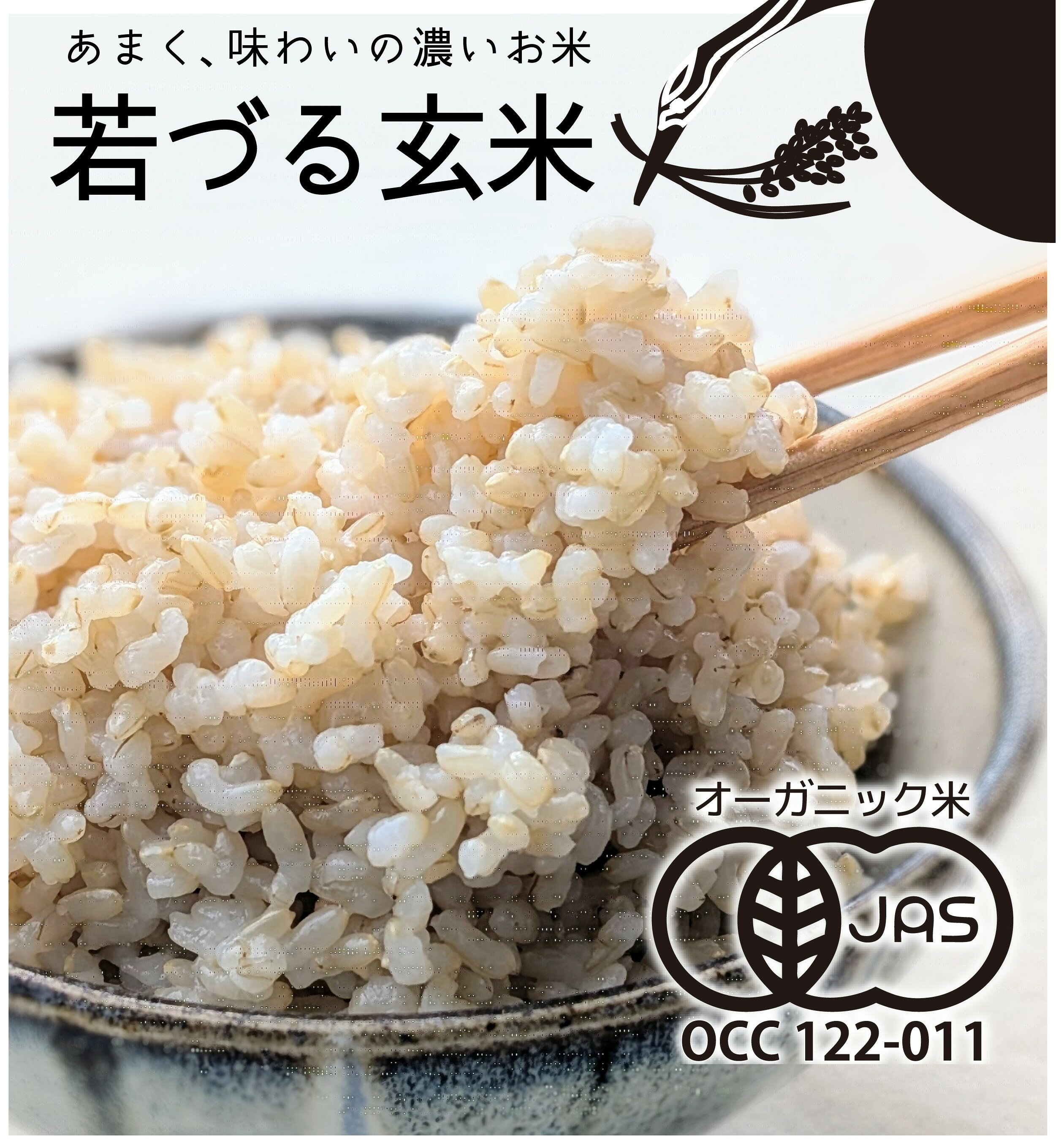 【ふるさと納税】【有機JAS】多可町産 きぬむすめ 玄米 5kg 10kg 定期便 農園若づる 有機栽培 オーガニック アイガモ 合鴨農法 無農薬 無化学肥料 即納 [1387]