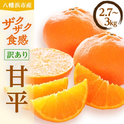 柑橘の鬼たちがつくる八幡浜産・甘平(2.7kg〜3.0kg)【訳あり】【D56−49】【配送不可地域：離島】【1486185】