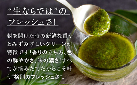 【先行予約】【2026年6月中旬頃から順次発送】 バジルペースト ２個セット ＜数量限定100セット＞ 摘みたて バジル フレッシュ 生ペースト 三次市 / Atelier＋BOTANICAL[APC