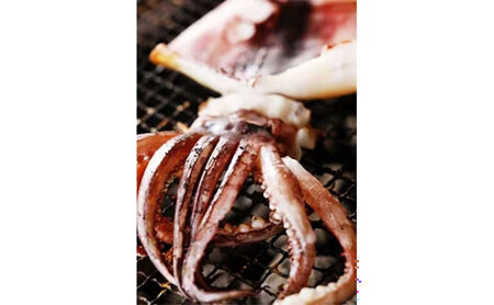 【毎月_定期便 全6回】日本海産柔らか肉厚のスルメイカ一夜干し(大)3枚　 魚貝類 イカ いか スルメイカ お酒 つまみ 特大 新鮮 保存 冷凍 国産 酒の肴 酒のつまみ myz02 myz10 my