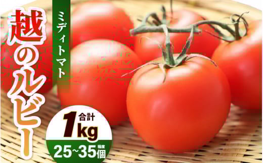 【先行予約】 三里浜砂丘地産 越のルビー（ミディトマト）甘くておいしい中玉トマト 約1kg 【2025年6月上旬以降順次発送予定】 【トマト とまと 中玉とまと リコピン 豊富 野菜 生野菜 甘い 高糖度 産地直送 国産】 [A-19204]