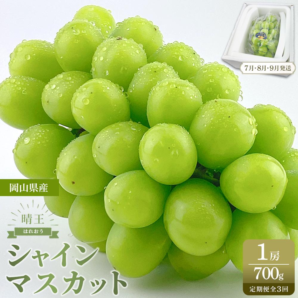 【ふるさと納税】【定期便 全3回／2026年7・8・9月発送】岡山県産 シャインマスカット 晴王 1房 約700g 3回定期便 7月・8月・9月に1回づつお届け　 先行受付 | マスカット シャイン 岡山産 岡山県産 フレッシュ みずみずしい 新鮮 フルーツ 果物 期間限定 先行予約
