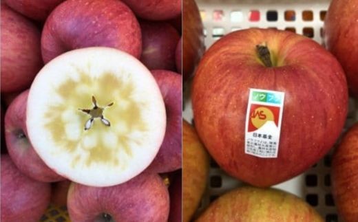 すべてのサンふじに蜜があるわけではありませんが…おいしいサンふじです！ノウフクJASシールを貼ってお届けします。