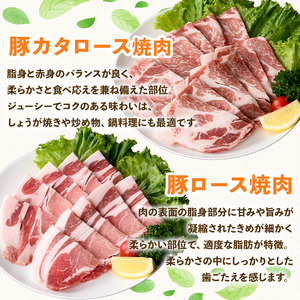 鹿児島県産 豚 バラエティー 焼肉 セット 冷凍(合計2.7kg) 【ハピネス】A930