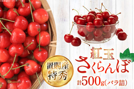 【期間限定発送】 さくらんぼ 置賜産 紅王 特秀 3L 以上 500g [JA山形おきたま 山形県 高畠町 tk06ays870053]