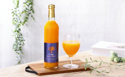 
温州みかん100%ストレートジュース【Premium Taste uetomo】500ml×2本セット(A670-1)
