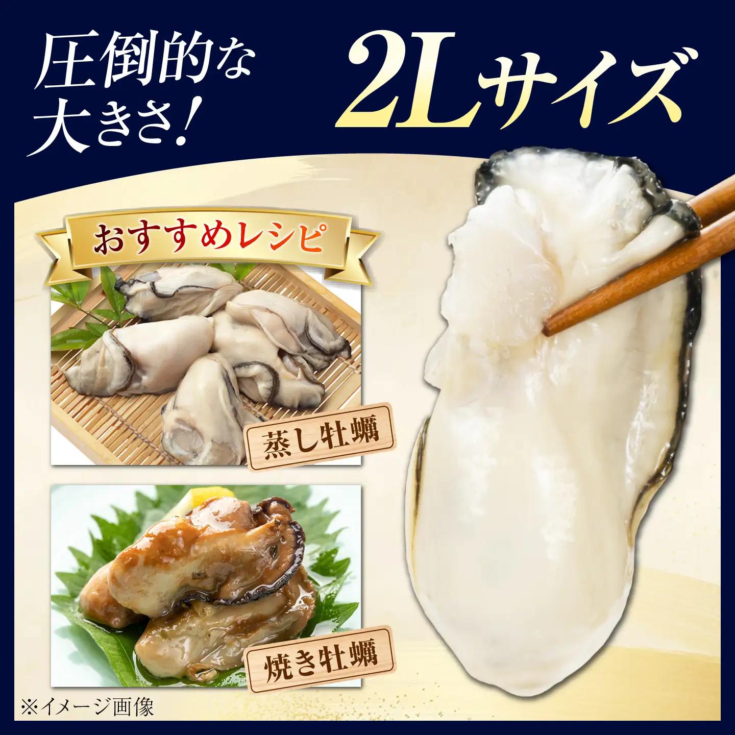 牡蠣 TVで話題！【冷凍】鍛え牡蠣 むき身 M・2Lサイズ セット 約4.8kg 広島県産 かき 人気 海鮮 BBQ 簡単 ギフト 牡蠣 かき カキ 冷凍 江田島市/有限会社寺本水産[XAE078]