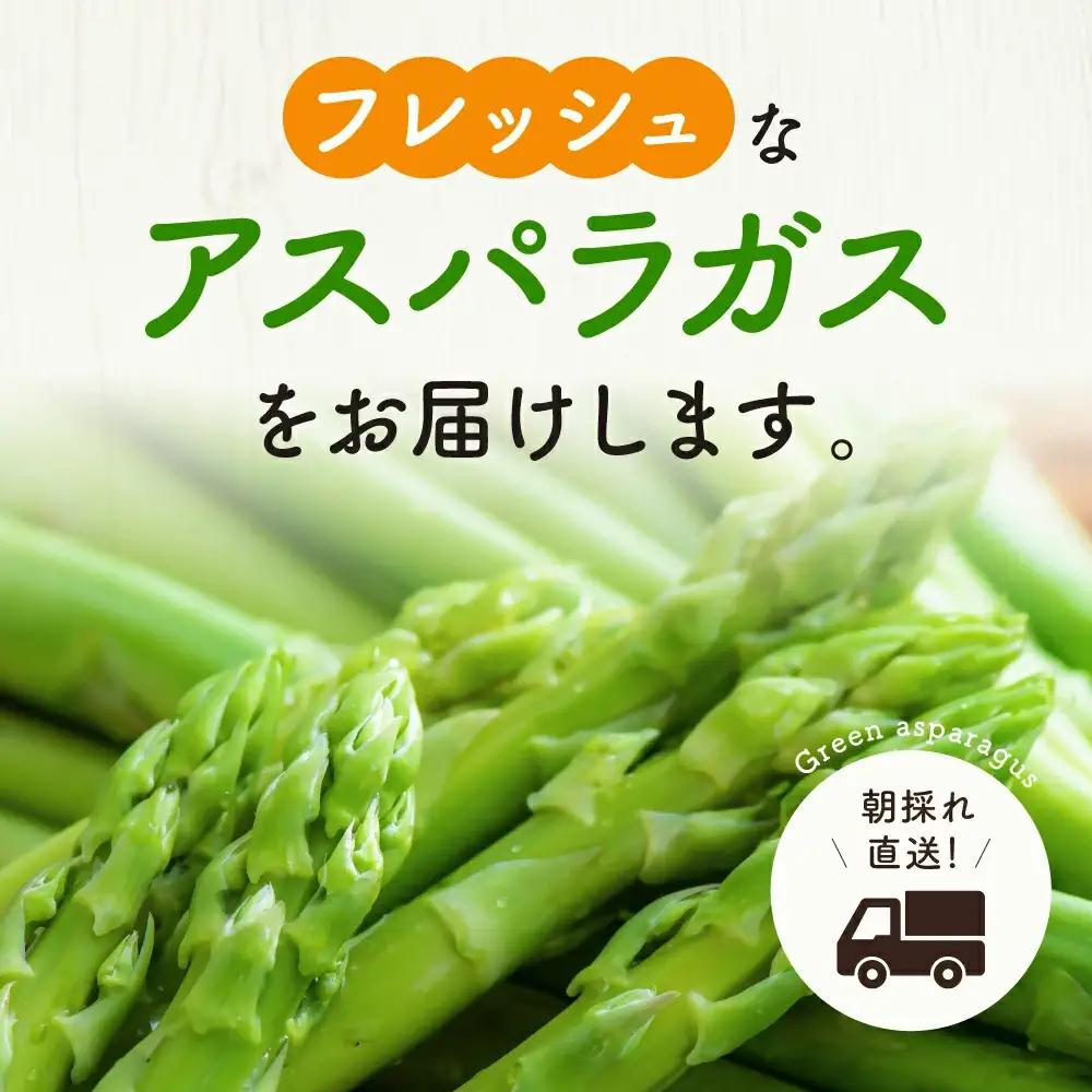 グリーンアスパラガス（800g）【7月~9月配送】 アスパラ