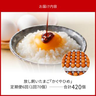 【定期便】放し飼い「かぐやひめ」70個　6回（毎月）コース 06T-004
