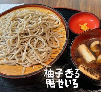 手打ち蕎麦 彩来庵 食事券 3,000円分 (500円券×6枚) C0564