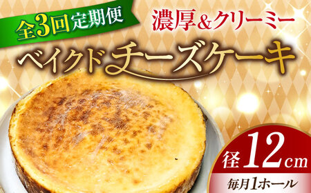 【全3回】ベイクドチーズケーキ4号 チーズケーキ[XBD024]