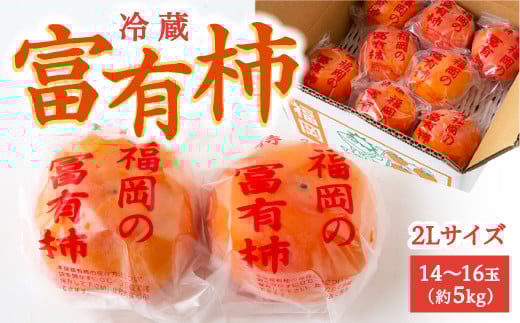 
            【先行予約】伊藤園 冷蔵富有柿 （2Lサイズ） 14玉～16玉 約5kg 【2025年12月中旬から12月下旬出荷予定】 ／ 富有柿 柿 果物 フルーツ くだもの うきは市
          