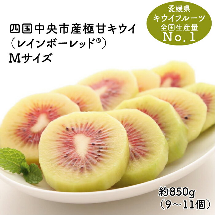 【ふるさと納税】 【25年8月受付開始】 ＜10月下旬以降発送＞ 最高糖度 20度超の極甘！レインボーレッドキウイ（四国中央市産レインボーレッド） M サイズ 約850g（9個〜11個）