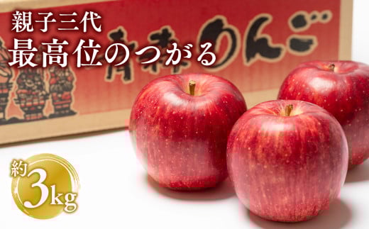 【9月発送】 親子三代最高位のつがる 約3kg【全国ふじコンテスト最高賞受賞農園 青森県 平川市 釈迦のりんご園】全国ふじコンテスト最高賞受賞 青森りんご 平川市広船産 家庭用 リンゴ りんご リンゴ 林檎 フルーツ 果物 サンふじ ふじ フジ 平川市 青森 
