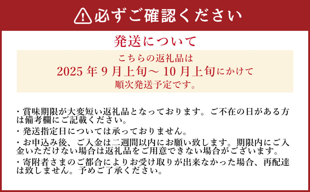 《先行予約》「山之上果実農業協同組合」山之上の梨 二十世紀 1箱 約2.5kg