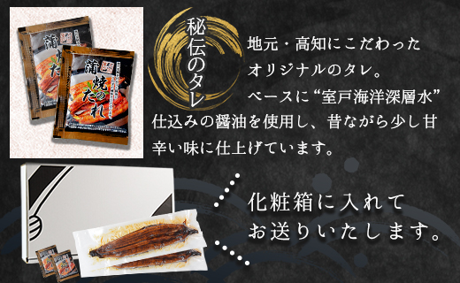 【１２回定期便】高知県産養殖うなぎ蒲焼き 約220g×2尾 Wfb-0064