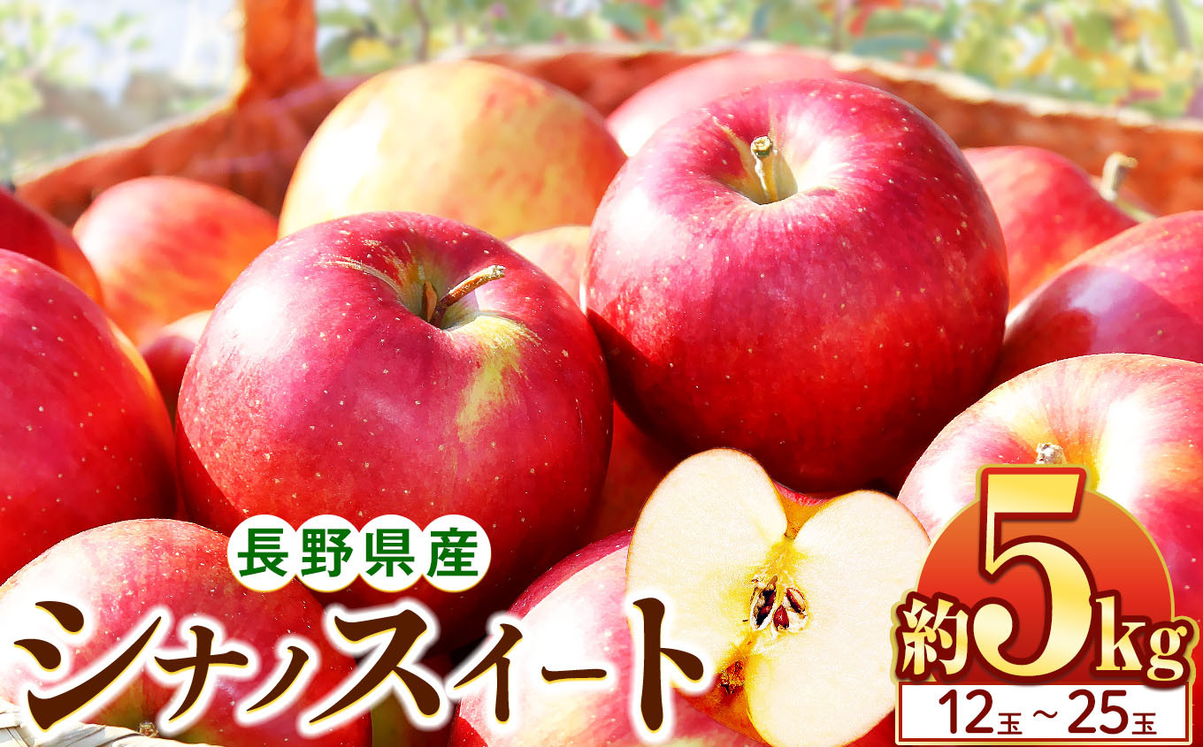 
            シナノスイート 5kg(12～25玉)｜ふるさと納税 松本市 シナノスイート りんご 林檎  果物 フルーツ 信州 美味しい 
          