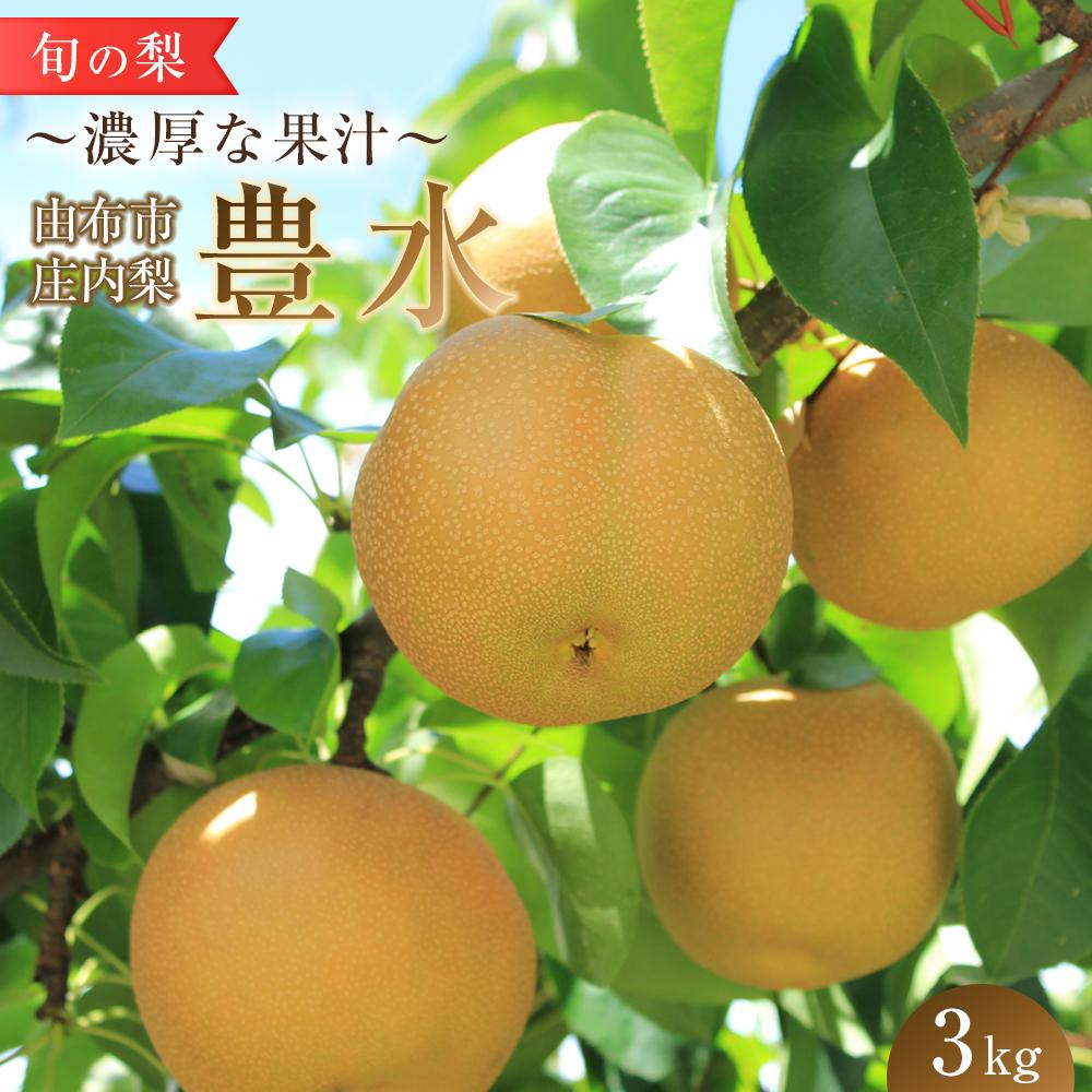 旬の梨 豊水 3kg 庄内梨 大塚梨園＜2026年8月下旬以降発送＞