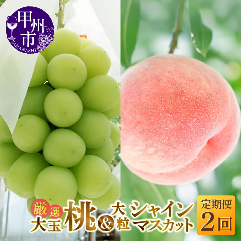 【ふるさと納税】 フルーツ 定期便 2回 桃 約2kg 5～6玉 シャインマスカット 約1.2kg 2～3房 果物 もも 大玉 白鳳系 白桃系 葡萄 ぶどう 大粒 くだもの 2025年発送 期間限定 ギフト 贈答 山梨県 甲州市 社員マスカット （MG） 【C1-482】