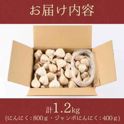 ふるさと納税 肝付町 〈先行受付〉學山堂のにんにくミックスセット(計1.2kg)鹿児島 国産 　A69004 |  | 03