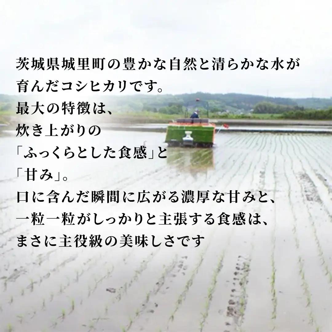 【 3回 定期便（9月～出荷）】 コシヒカリ 5kg ×3回 令和8年 精米  先行予約 産地直送 茨城県 城里町 新米 精白米 米 ご飯 こしひかり 米 白米 精米 単一原料米 (AX030)