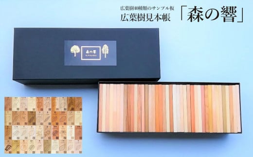 広葉樹見本帳「森の響」（広葉樹 40種類のサンプル板  60×110mm（板）40枚）教材 インテリア  広葉樹 木 木目 雑貨 インテリア サンプル 板 下呂市 金山