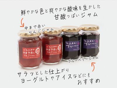 ジャム 青森 果肉まで赤い りんごジャム + ブルーベリージャム 4個 詰め合わせ セット 風丸農場 無添加 りんご アップル ブルーベリー 食べ比べ 瓶 フルーツ 果物 朝食 ヨーグルト パン 青森