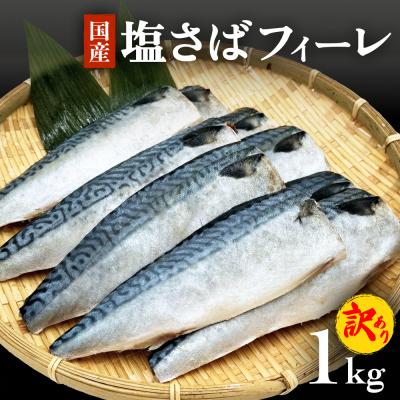 ふるさと納税 石巻市 訳あり 塩サバフィーレ1kg(10枚前後) 鯖 冷凍 不揃い 魚 お魚  おかず お弁当 石巻応援