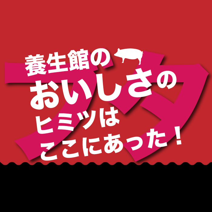 赤村養生館 豚小間切れ 1.3㎏ B1