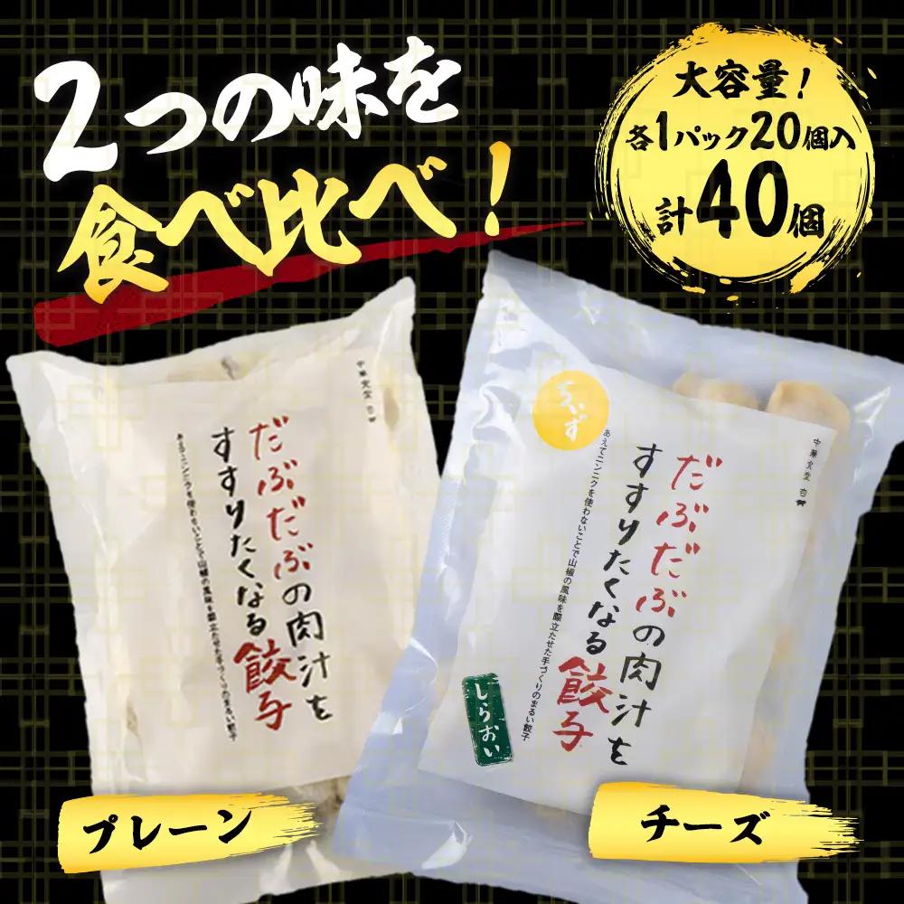 だぶだぶの肉汁をすすりたくなる餃子 食べ比べセット 40個（プレーン・チーズ 各20個） BE016
