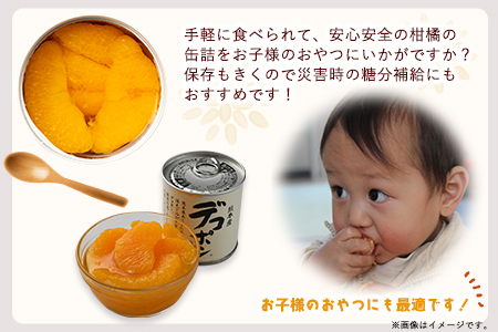 缶詰 デコポン 10缶 缶詰
