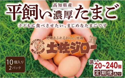土佐ジロー10個×2P(6回) うらにわ自然たまご園