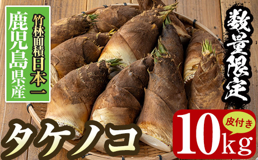 i365 ≪数量限定！先行予約受付中！2027年4月上旬～4月中旬の間に発送予定≫鹿児島県出水市産！タケノコ＜皮付き10kg＞ たけのこ 筍 タケノコ 国産 皮付き 野菜 旬 新鮮 採りたて 煮物 味噌汁 炊き込みご飯 【シンタク】