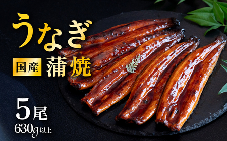 【07月発送（丑の日までにお届け）】【レビューキャンペーン】国産 うなぎ蒲焼 上うなぎ5尾 640g以上 山椒付き 鰻 ウナギ たれ タレ たっぷり うな重 鰻重 ひつまぶし