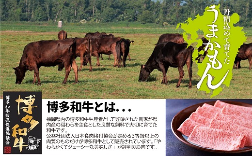 博多和牛生ハンバーグ　150g×12パック　合計1.8kg[H4509]