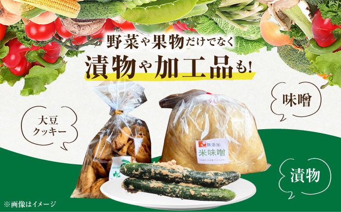 新鮮野菜・加工品 おまかせ詰め合わせ【だいちの家】[HAG015] / 野菜 果物 フルーツ 味噌 漬物 お菓子 クッキー